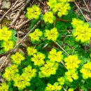 갤러리&펜션 풍경소리 이미지