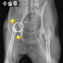 음성동물병원 이미지