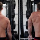 더 바벨 이미지