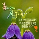 머물다 이미지