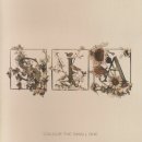 Sia - Breathe Me 이미지