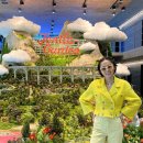 가든안경 이미지