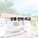 강릉민박 추천 | 강문민박 vs 씨클라우스카라반 비교 (반려견 가능·오션뷰·가성비 분석)
