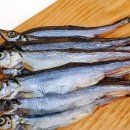 도그리니 이미지