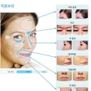 블루미의원