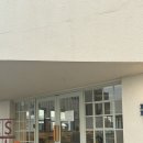 애견 동반 가능 카페 ‘피스피스’ 파주 출판단지 롯데프리미엄아웃렛 파이 맛집