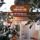 제주마을 이미지