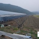 오가네 농장 이미지