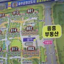 파주공인중개사사무소 이미지