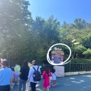 큐(Q)모텔 | 에버랜드 방문기 (1)ㅣ꿀팁 대방출ㅣ금요일 오픈런 후기ㅣ가족 큐패스ㅣ스마트줄서기ㅣ주차팁ㅣ숙소추천