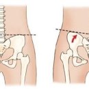 드래곤짐 이미지