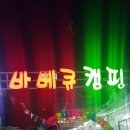 제주삼다수도야지