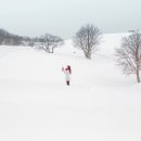 정희목장 이미지