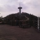 완도읍-9 이미지