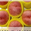 수진농장 이미지