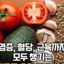 파라다이스한결