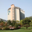 H9207 Daum카페