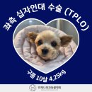 구름동물병원 이미지