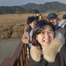 순천만습지 주차장 화장실 이미지