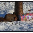엄마 김치찌개 이미지