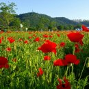 풍전 경로당 이미지