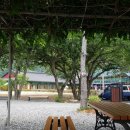 수능엄사 옆 이미지