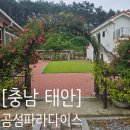 [충남 태안] 한적하고 조개체험 가능 - 곰섬파라다이스