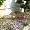 소라아파트앞 이미지