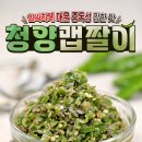 꼰미고 이미지