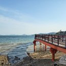 여수수산물특화시장 이미지