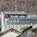 도계도서관 이미지