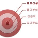 국대수학전문학원