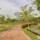 대저수문공원 이미지