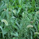 산모퉁이그곳 이미지