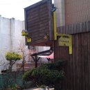 더하우스호스텔 이미지