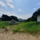 의병장 이춘영묘 이미지