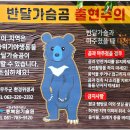 부항령-덕산재-대덕산-초점산-삼봉산-빼재(백두대간 남진27구간)사진 이미지