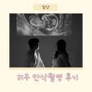 31 | [31주 만삭촬영 후기] 베이비파스텔 경기본점 만삭촬영 후기 의상 소품 준비 꿀팁