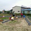 임실초등학교 이미지