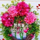 역사이야기 ㅡ 난중일기 2편ㅡ 이미지