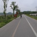 세종그랜드모텔 이미지