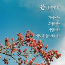 4월11일(목) 거마산~인천대공원 꽃구경 갑니다 이미지