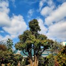 낙동강변25 이미지