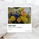 영플라워 | [대전] 관저동꽃집 영플라워샵 알록달록 꽃다발 후기