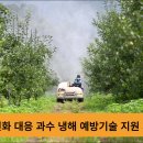 청송군, 과수 냉해 예방기술 지원…사과·배 농가 대상 신청 접수 이미지