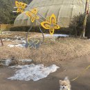 나비공원　 이미지