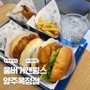 버거앤 | 옥정 맛집 움버거앤윙스 내돈내산 버거후기