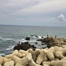 씨스페이스울진후포점 | 울진 죽변항 레일바이크 울진스카이레일 탑승 후기