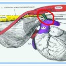 동주동물병원 이미지