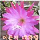 비젼통신 - 안양시 만안구 안양로 301 | 비젼통신